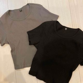 ユニクロ(UNIQLO)のUNIQLO リブクロップドT（半袖）去年モデル(Tシャツ(半袖/袖なし))