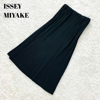 ISSEY MIYAKE - 極美品✨イッセイミヤケ プリーツスカート ナロー ...