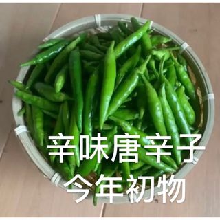 9.辛味唐辛子 25本 無農薬生青トウガラシ 鷹の爪　初収穫(野菜)