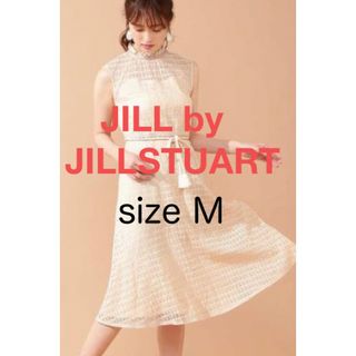 ジルバイジルスチュアート(JILL by JILLSTUART)の本日限定JILL by JILLSTUART　ヴィンテージクロシェワンピース M(ひざ丈ワンピース)