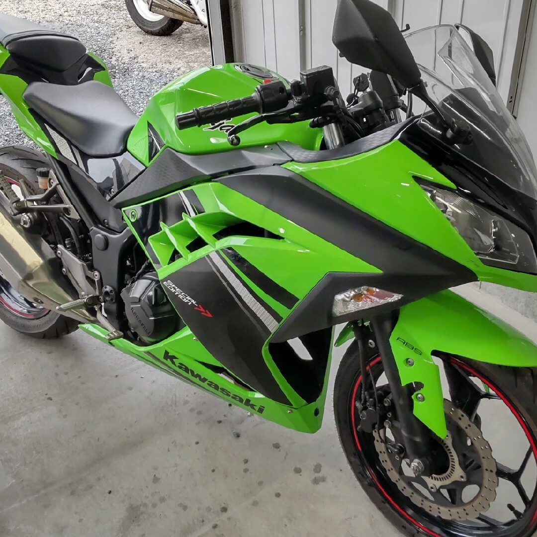 動画あり スペシャルエディション ☆ニンジャ250 Ninja250☆ 自動車