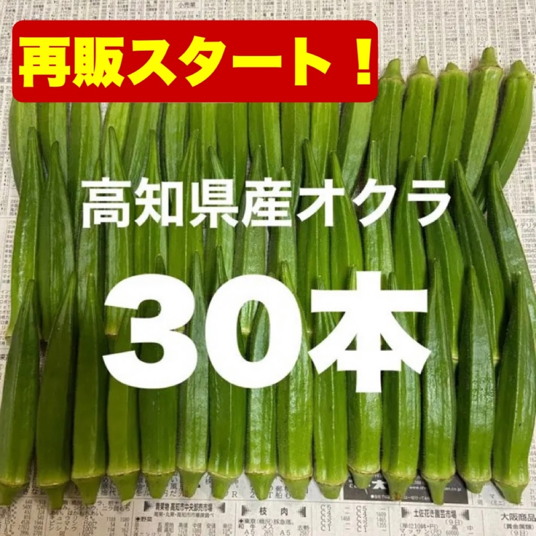 送料無料限定セール中 高知県産スイカ大玉、即購入OK