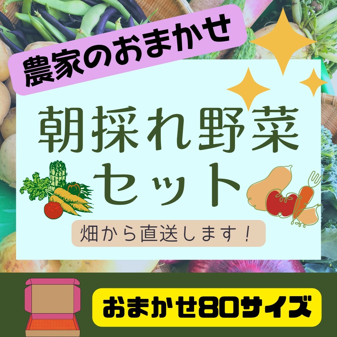 農家直送！夏野菜詰め合わせ80サイズ 食品/飲料/酒の食品(野菜)の商品写真