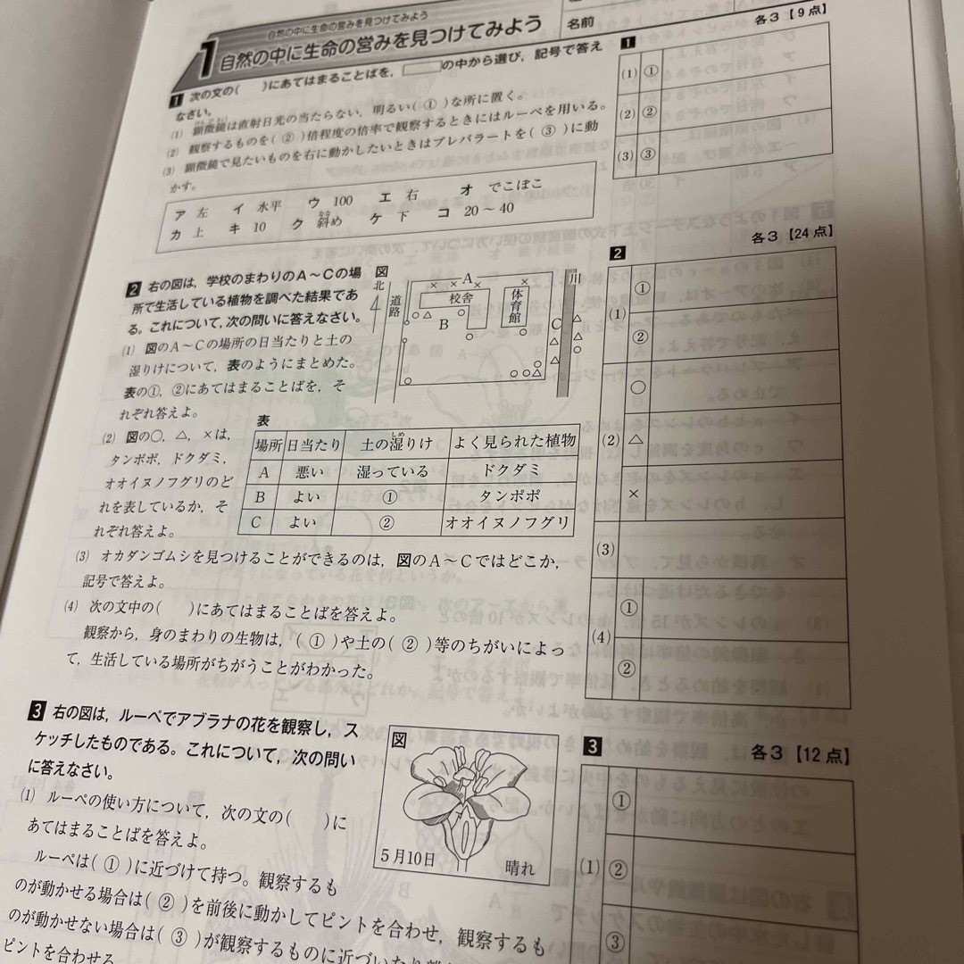 問題集　中学1年　国語　理科　社会　未使用 エンタメ/ホビーの本(語学/参考書)の商品写真