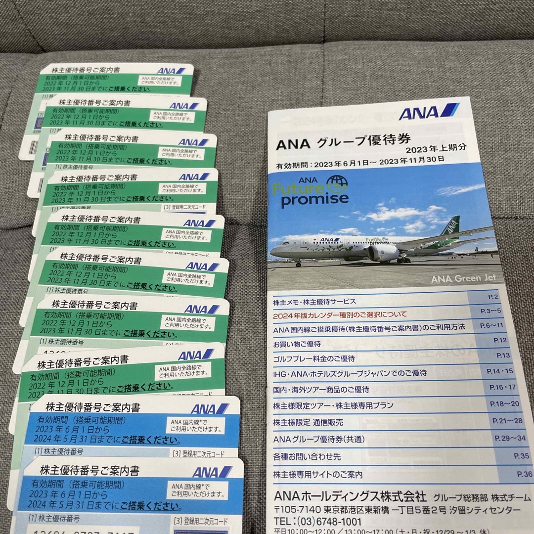 １０枚　ANA株遊乗車券/交通券