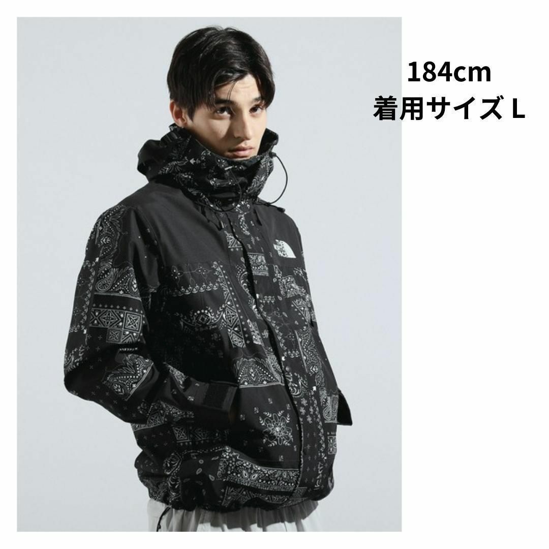 【韓国限定】THE NORTH  FACE ダウンジャケット　ペイズリー　XS