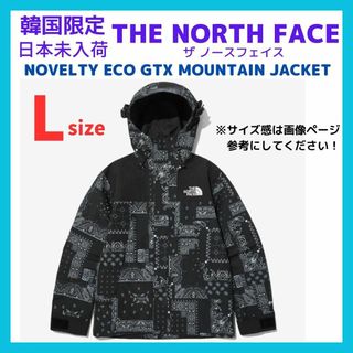 ノースフェイス(THE NORTH FACE) 韓国 マウンテンパーカー(メンズ)の