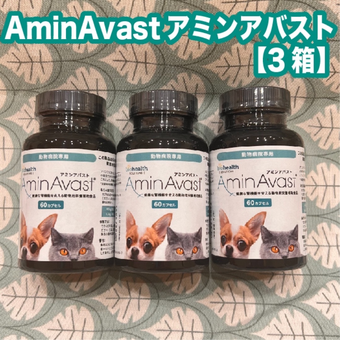 アミンアバスト300mg 60カプセル　3箱