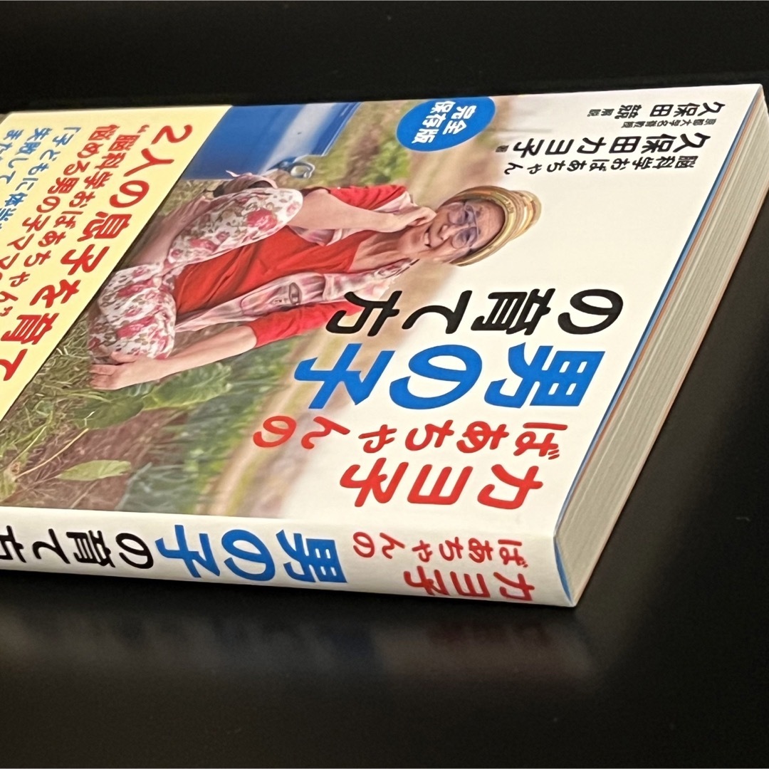 ダイヤモンド社(ダイヤモンドシャ)のカヨ子ばあちゃんの男の子の育て方 エンタメ/ホビーの雑誌(結婚/出産/子育て)の商品写真