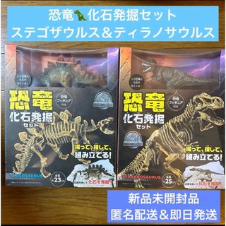 恐竜　化石発掘セット　フィギュア　ティラノサウルス　ステゴサウルス　新品未開封(その他)