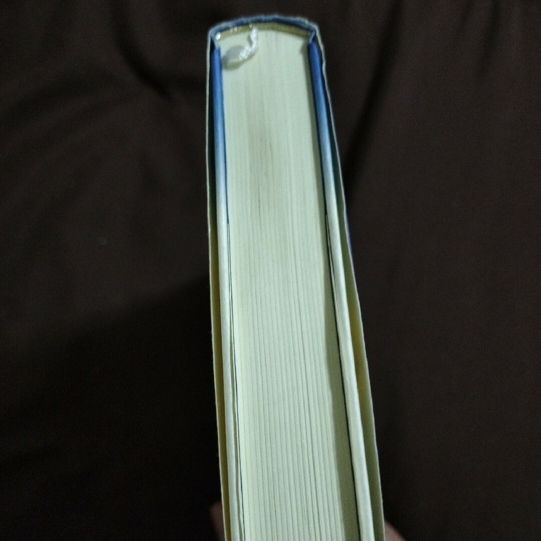 2冊セット「数の歴史」「数学ガール ゲーデルの不完全性定理」 エンタメ/ホビーの本(文学/小説)の商品写真