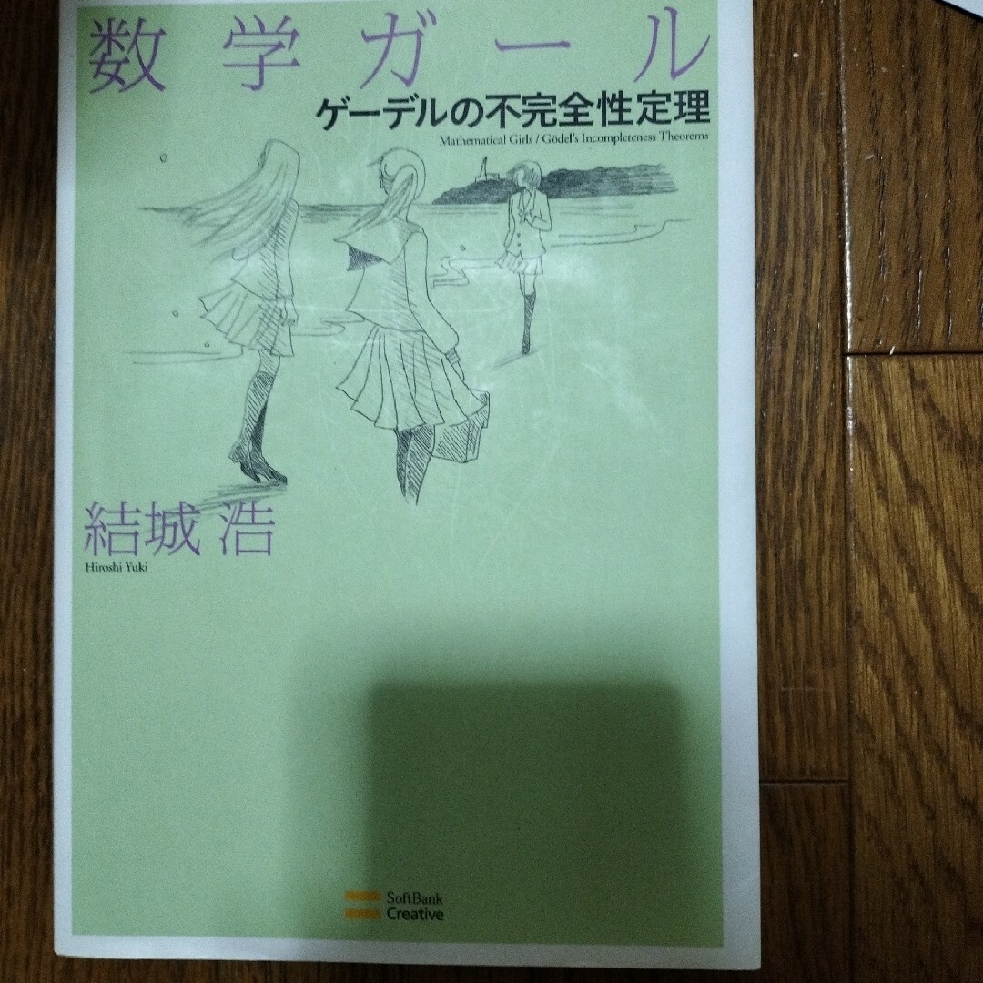 2冊セット「数の歴史」「数学ガール ゲーデルの不完全性定理」 エンタメ/ホビーの本(文学/小説)の商品写真