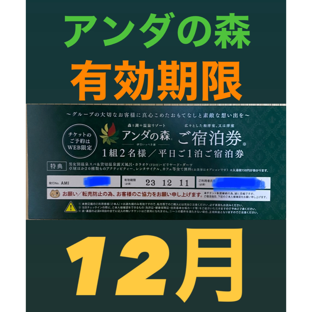 12月まで！アンダの森 いっぺき湖 伊豆 ペア宿泊券 バリアン お値下げ