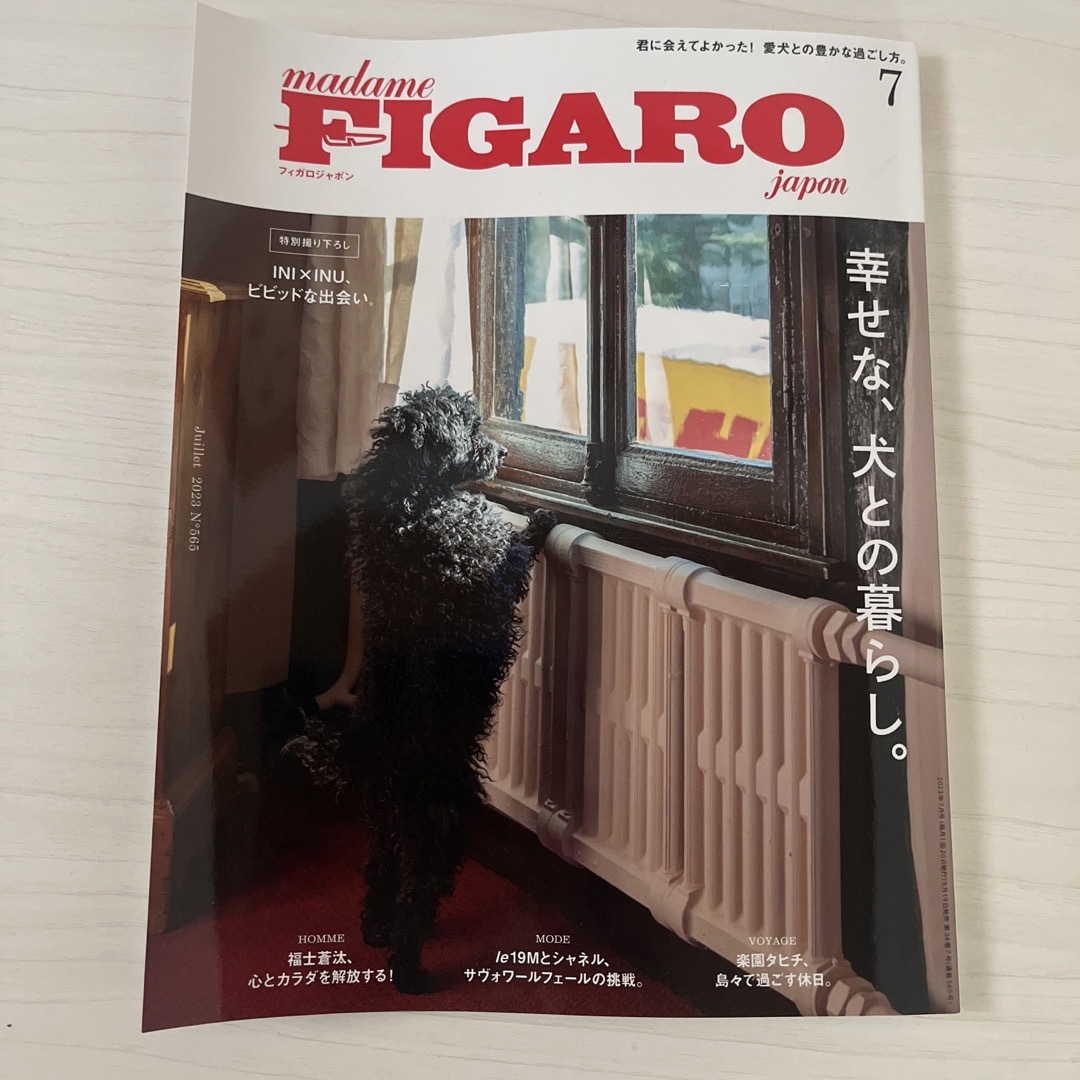 ＦＩＧＡＲＯ　ｊａｐｏｎ（フィガロジャポン　２０２３年７月号 （ＣＣＣメディア） エンタメ/ホビーの雑誌(その他)の商品写真