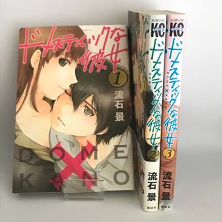 ドメスティックな彼女 流石景 1~3巻(青年漫画)