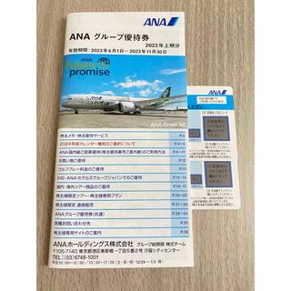 エーエヌエー(ゼンニッポンクウユ)(ANA(全日本空輸))の2枚＋冊子　ANA 全日空　最新株主優待(航空券)