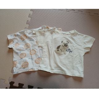 シマムラ(しまむら)のTシャツ　２枚セット(Ｔシャツ)