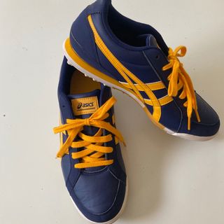 アシックス(asics)のasicsゴルフシューズ　25㎝(シューズ)