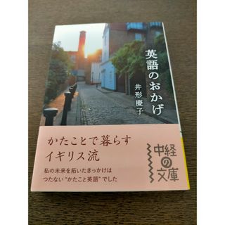 英語のおかげ(その他)