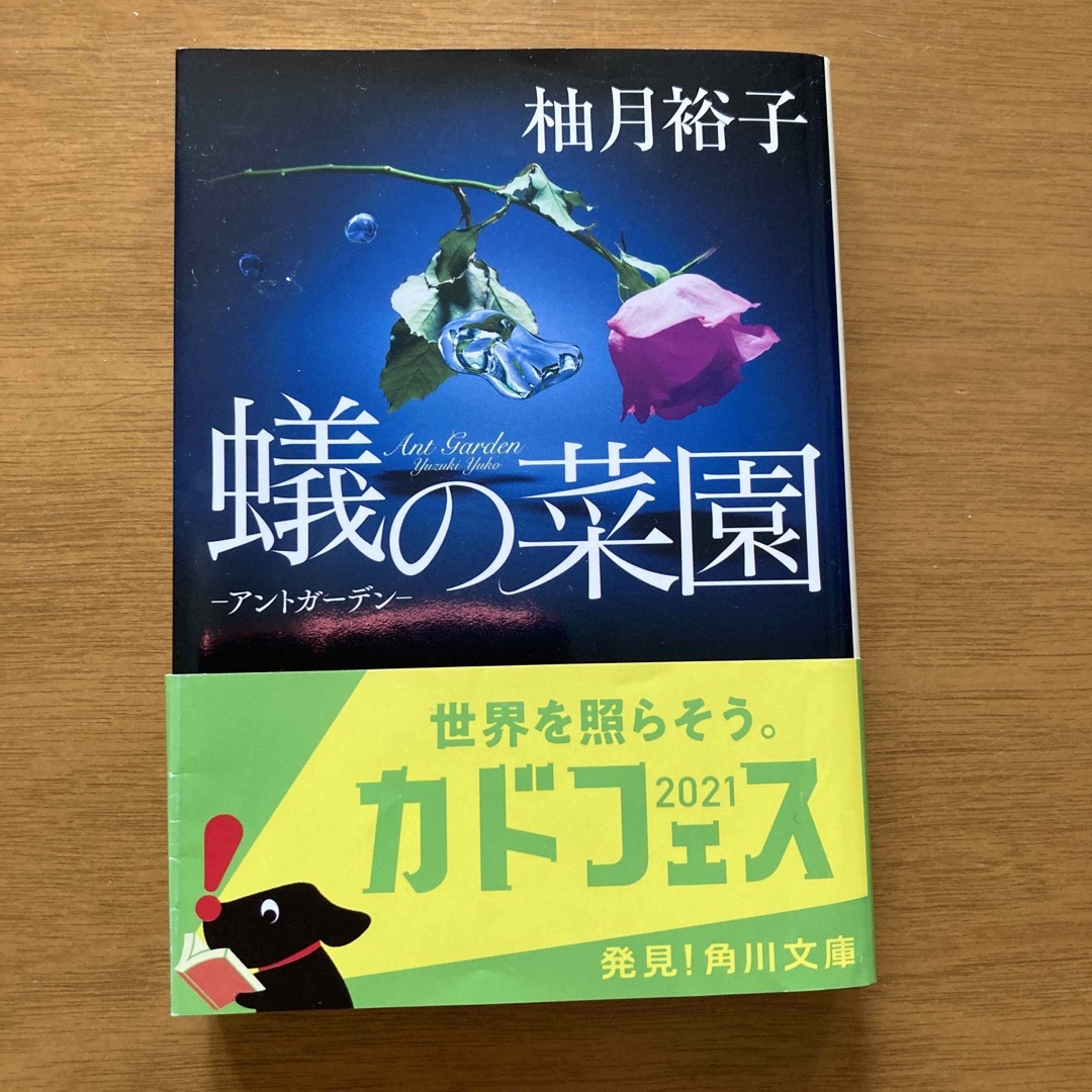 蟻の菜園 アントガーデン エンタメ/ホビーの本(その他)の商品写真