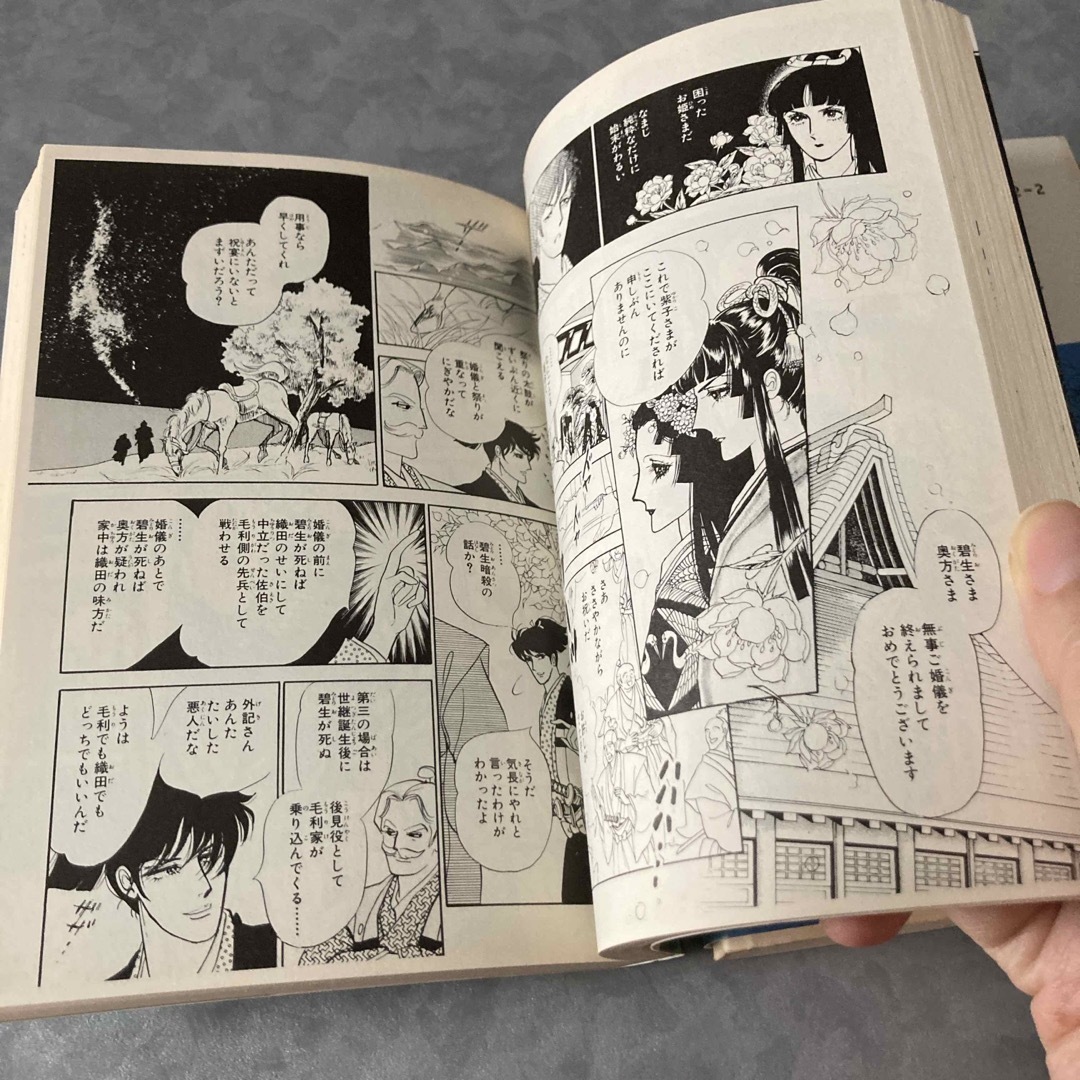 小学館 - とりかえばや異聞 青頭巾 2冊組 木原敏江の通販 by 小学館 - とりかえばや異聞 青頭巾 2冊組 木原敏江の通販 by