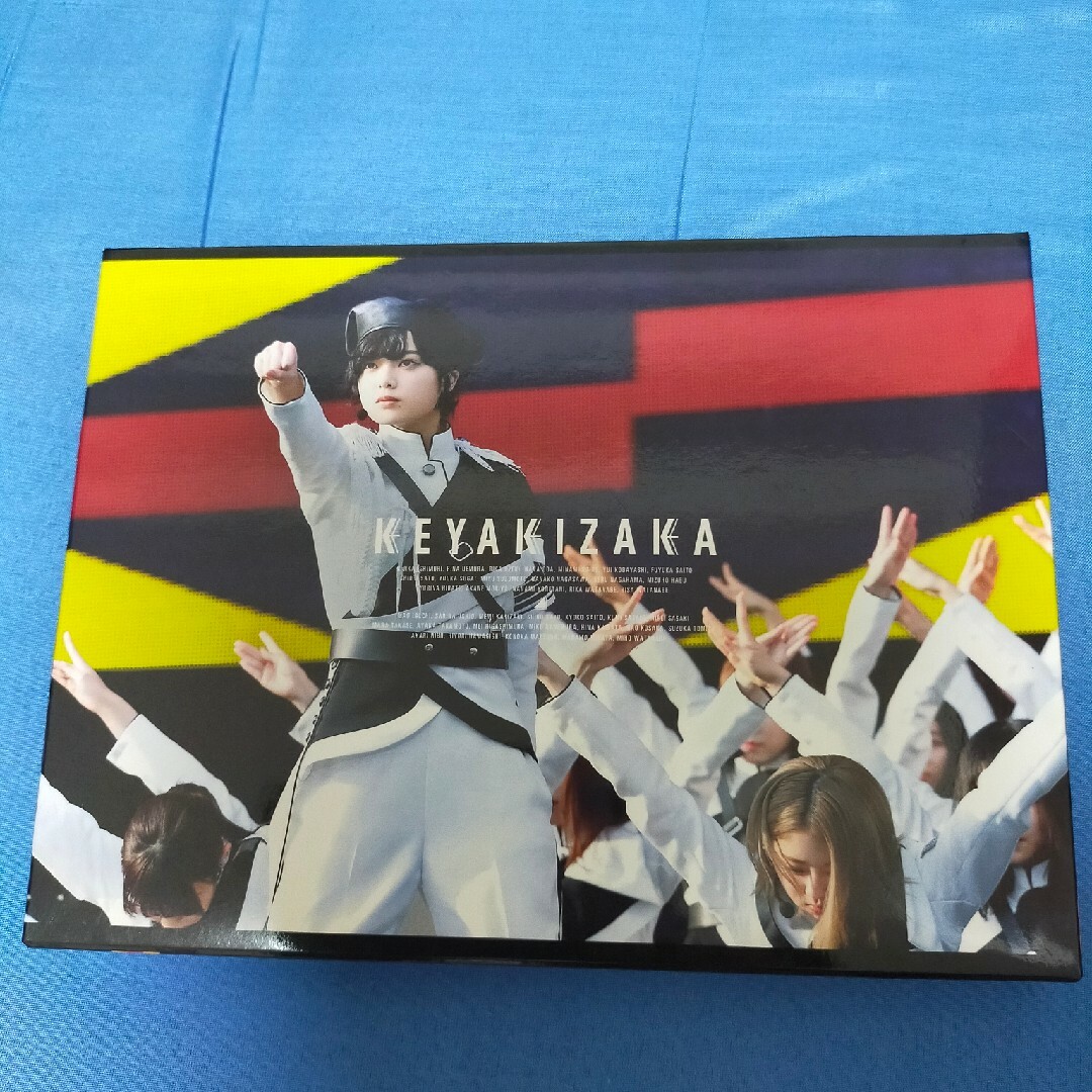 欅坂46(けやき坂46)(ケヤキザカフォーティーシックス)の欅共和国2018（初回生産限定盤） DVD エンタメ/ホビーのDVD/ブルーレイ(ミュージック)の商品写真