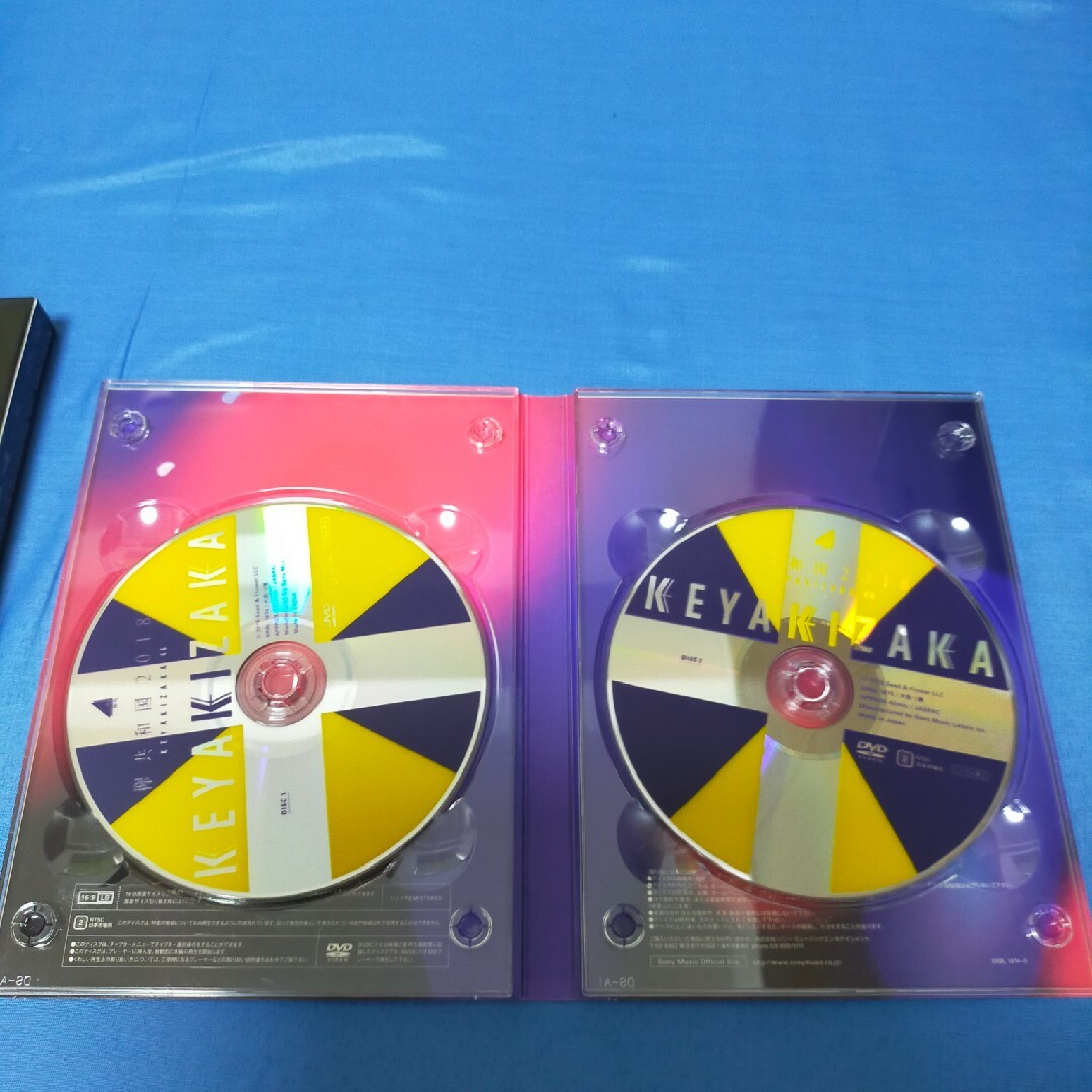 欅坂46 欅共和国2018 初回限定盤2枚組 DVD - ミュージック