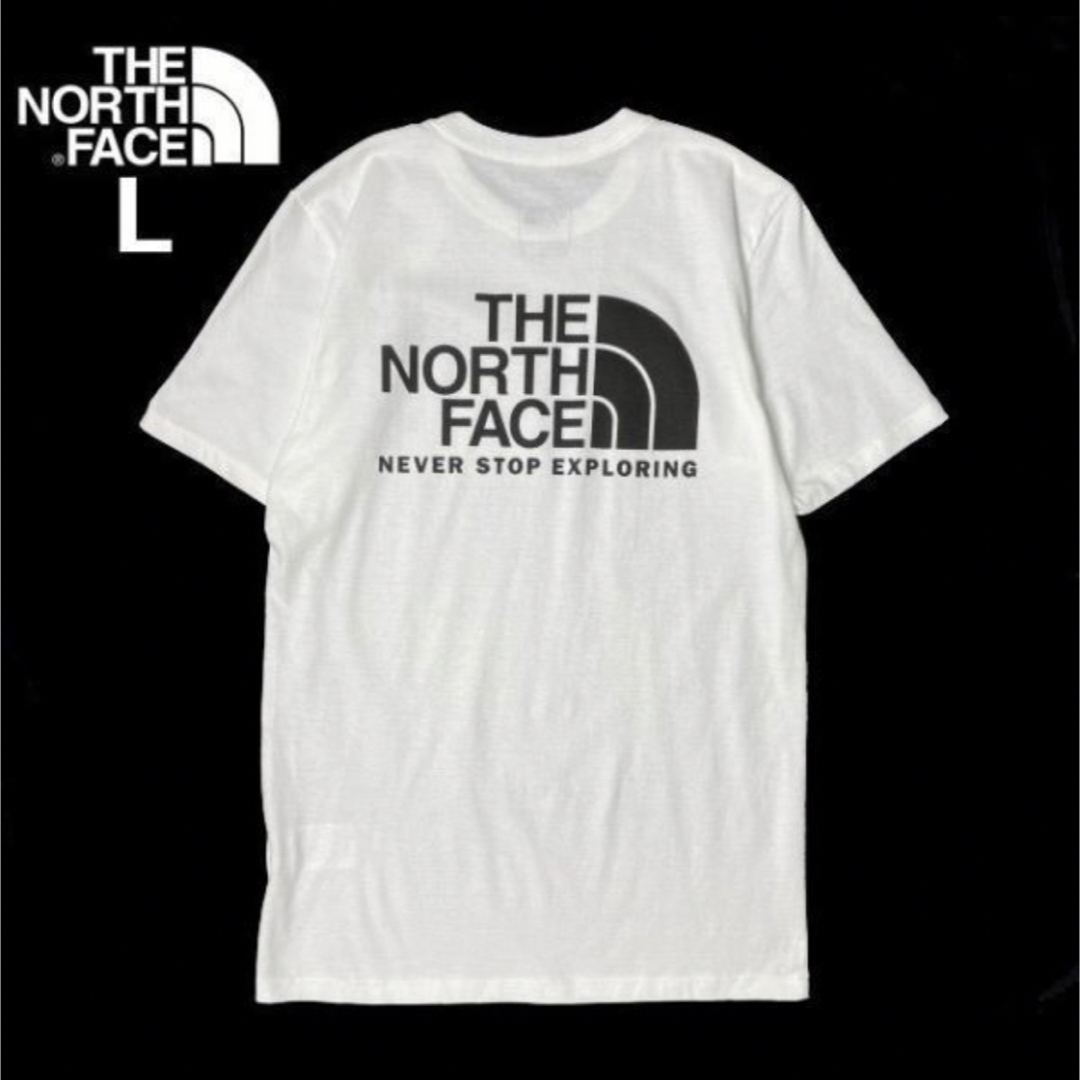 THE NORTH FACE 半袖 Tシャツ US限定 登山 キャンプ(L)白