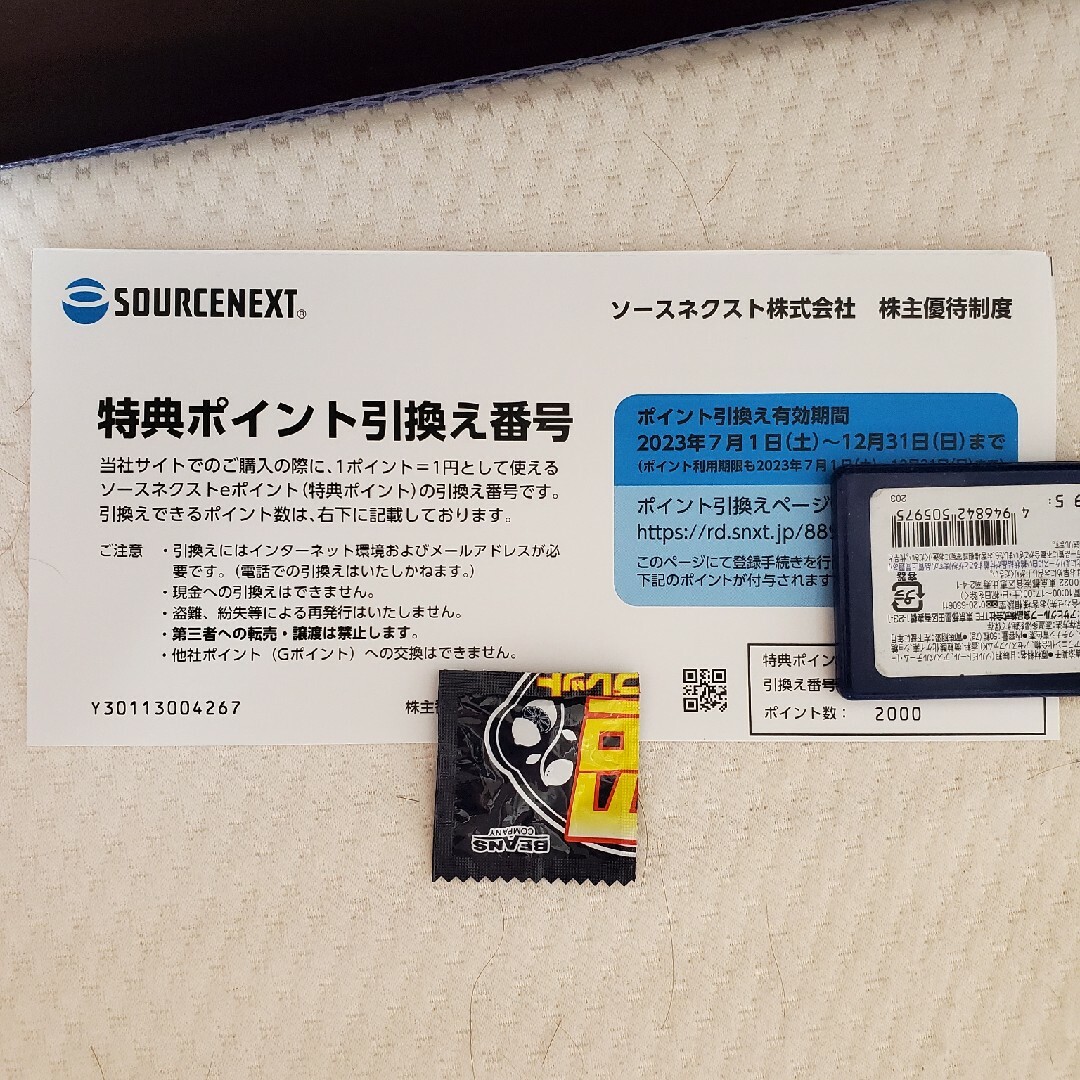 ソースネクスト　株主優待　12000円分