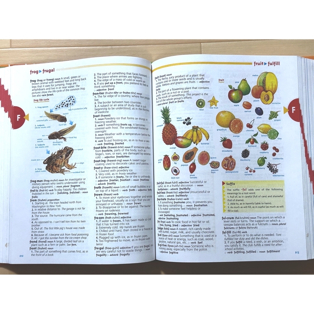 Children's Dictionary SCHOLASTIC 英英辞書　 エンタメ/ホビーの本(洋書)の商品写真