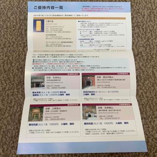 ミツビシ(三菱)の【匿名配送】三菱マテリアル株主優待　観光坑道無料券(その他)