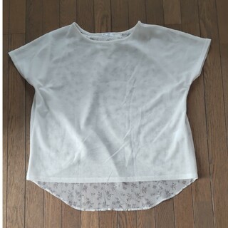 グラシア(GLACIER)のGLACIER 白のニットブラウス(Tシャツ(半袖/袖なし))
