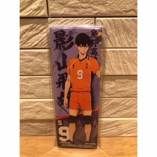 【B.影山 飛雄】 ハイキュー！！ロングスクエア型缶バッジ　他(バッジ/ピンバッジ)