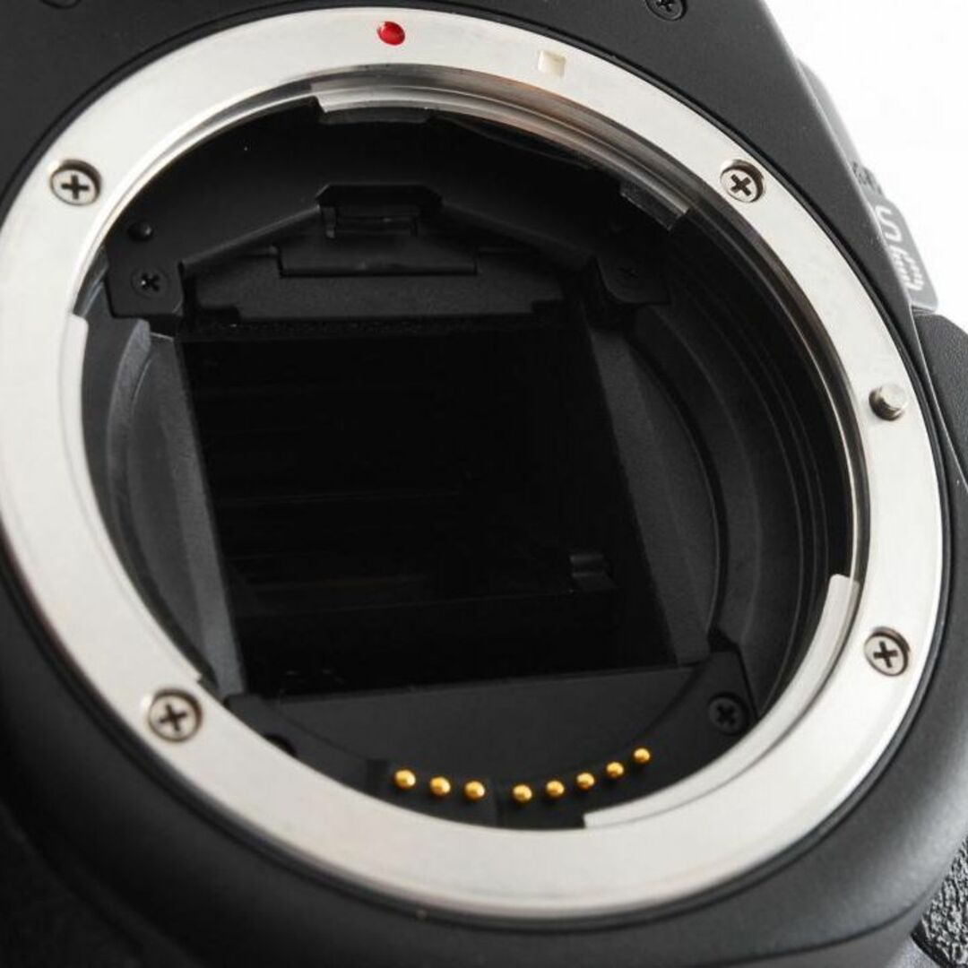 Canon - F10☆Canon EOS 40D ボディ /5000A-20の通販 by LALAのカメラ 