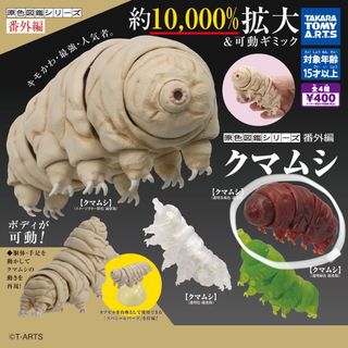 タカラトミーアーツ(T-ARTS)の原色図鑑シリーズ番外編クマムシ 透明茶褐色通常版(その他)