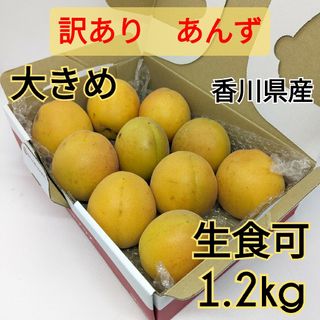 【訳あり】生食可 大きめ あんず 杏 1.2kg アプリコット 匿名配送(フルーツ)