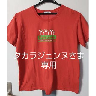 【新品】レディース Tシャツ (オレンジ) ＆ ストレートパンツ(クリーム色)(Tシャツ(半袖/袖なし))