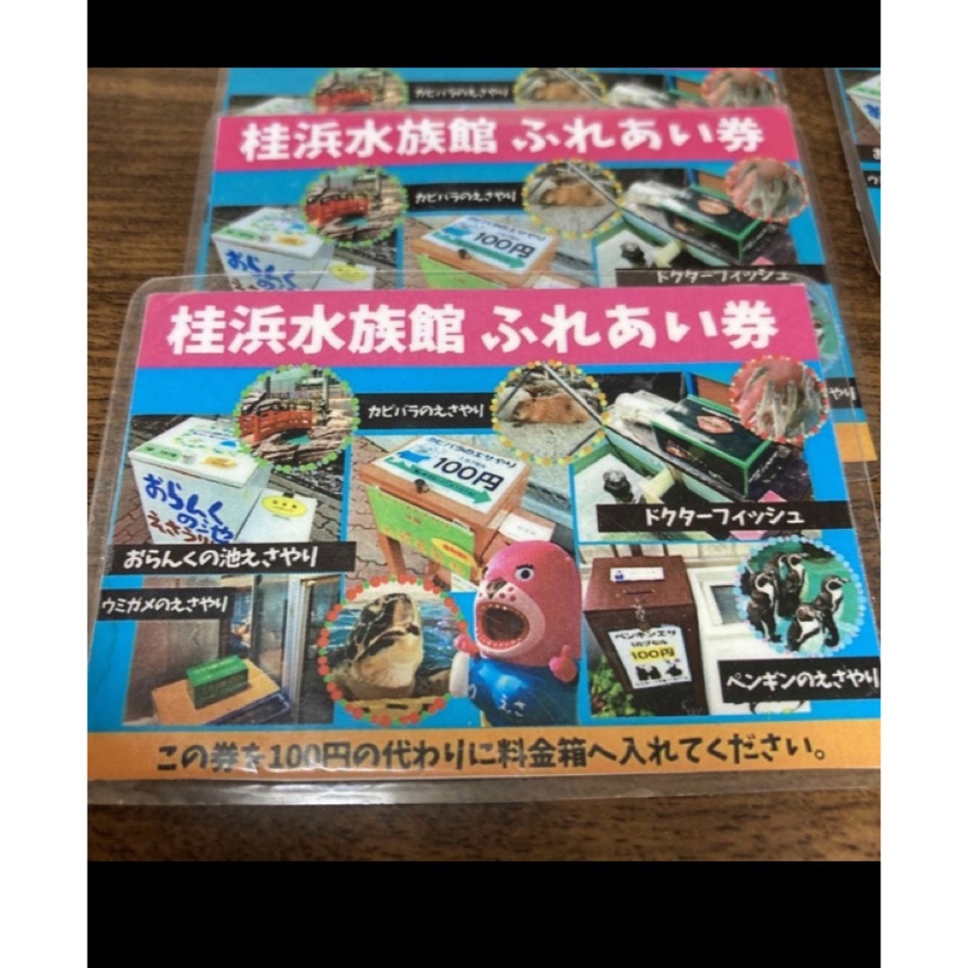 【桂浜水族館　ふれあい券6枚】送料込 チケットの優待券/割引券(その他)の商品写真