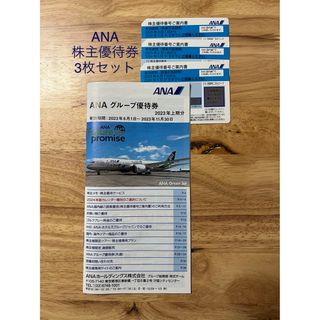 エーエヌエー(ゼンニッポンクウユ)(ANA(全日本空輸))の【未使用】ANA株主優待券(グループ優待券付)(その他)