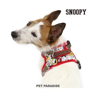 ペットパラダイス(PET PARADISE)の小型犬 子犬 ハーネス 3S  スヌーピー(リード/首輪)