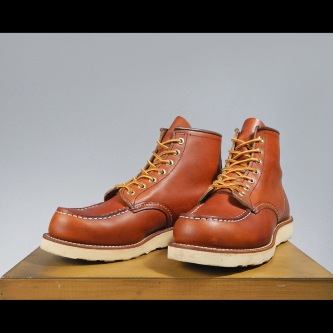 redwing アイリッシュセッター 875 犬刻印 US7