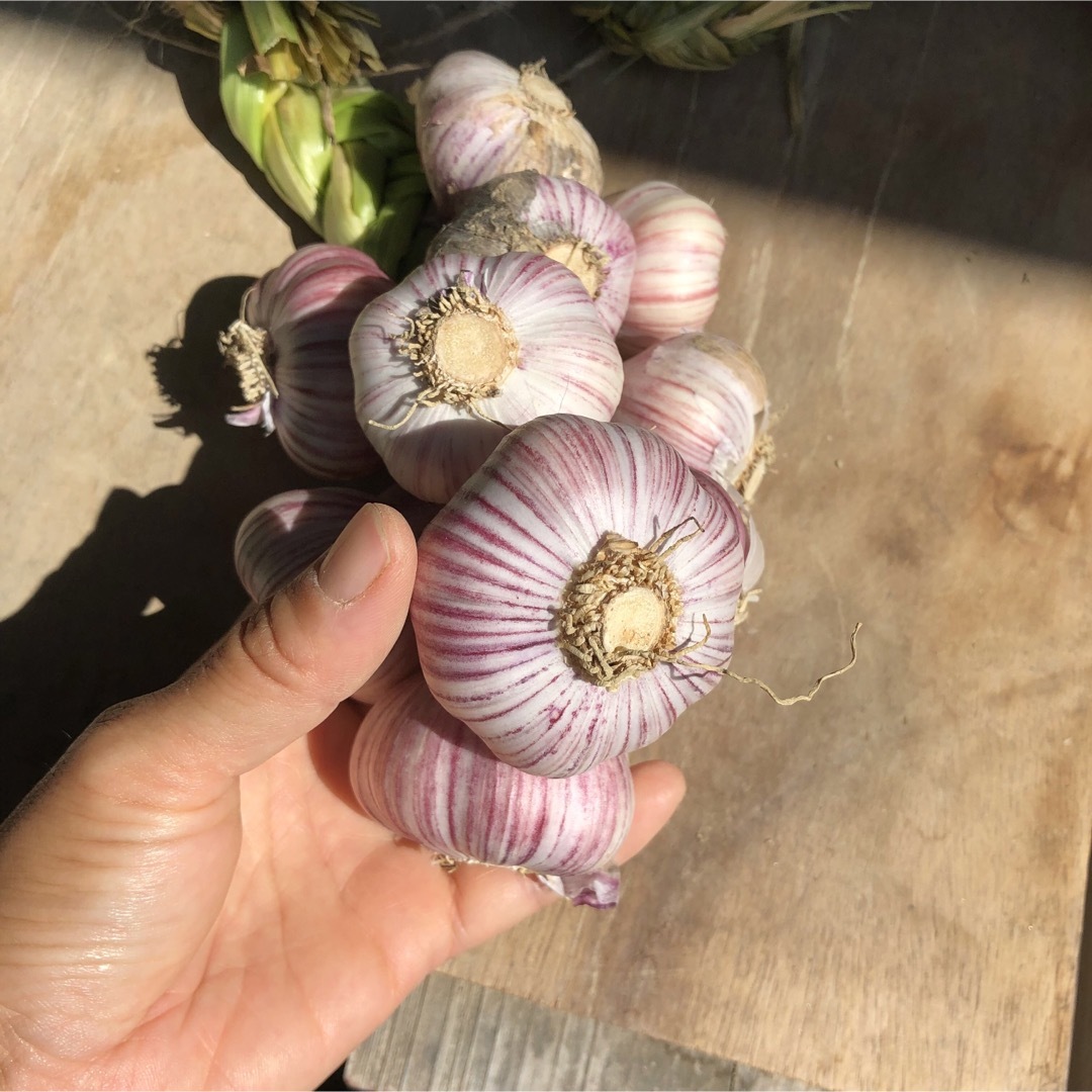 【無農薬】採れたて野菜詰め合わせ　野菜セット　コンパクトボックス 食品/飲料/酒の食品(野菜)の商品写真