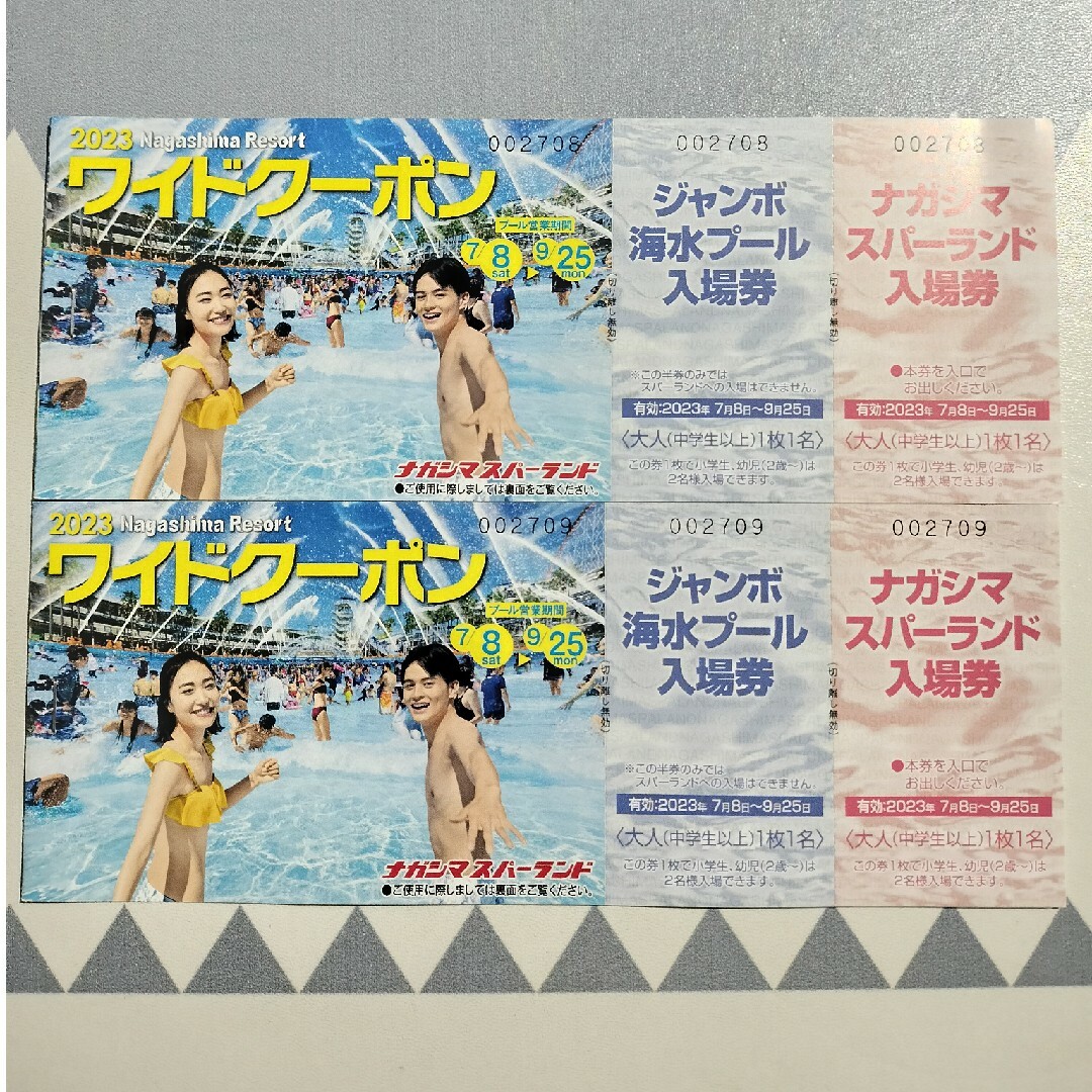 ナガシマリゾート　ワイドクーポン×2冊 チケットの施設利用券(遊園地/テーマパーク)の商品写真