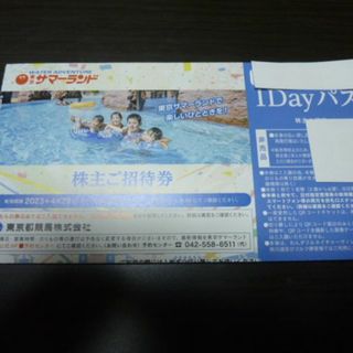 1枚 東京サマーランド 株主ご招待券 1DAYパス株主優待券 フリーパス(遊園地/テーマパーク)