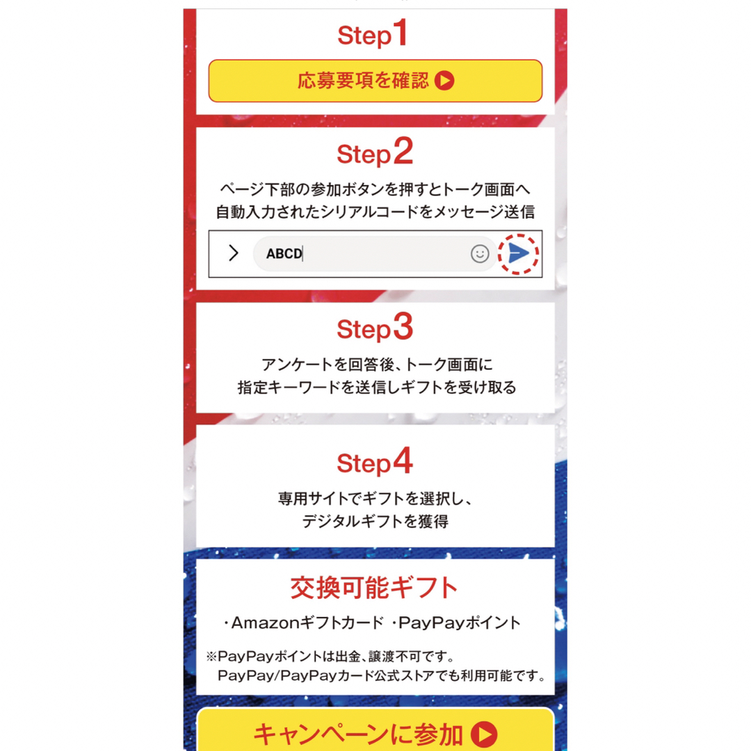 必ず貰える選べるpay9000ポイント分 1