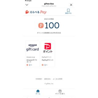 必ず貰える選べるpay9000ポイント分 - その他