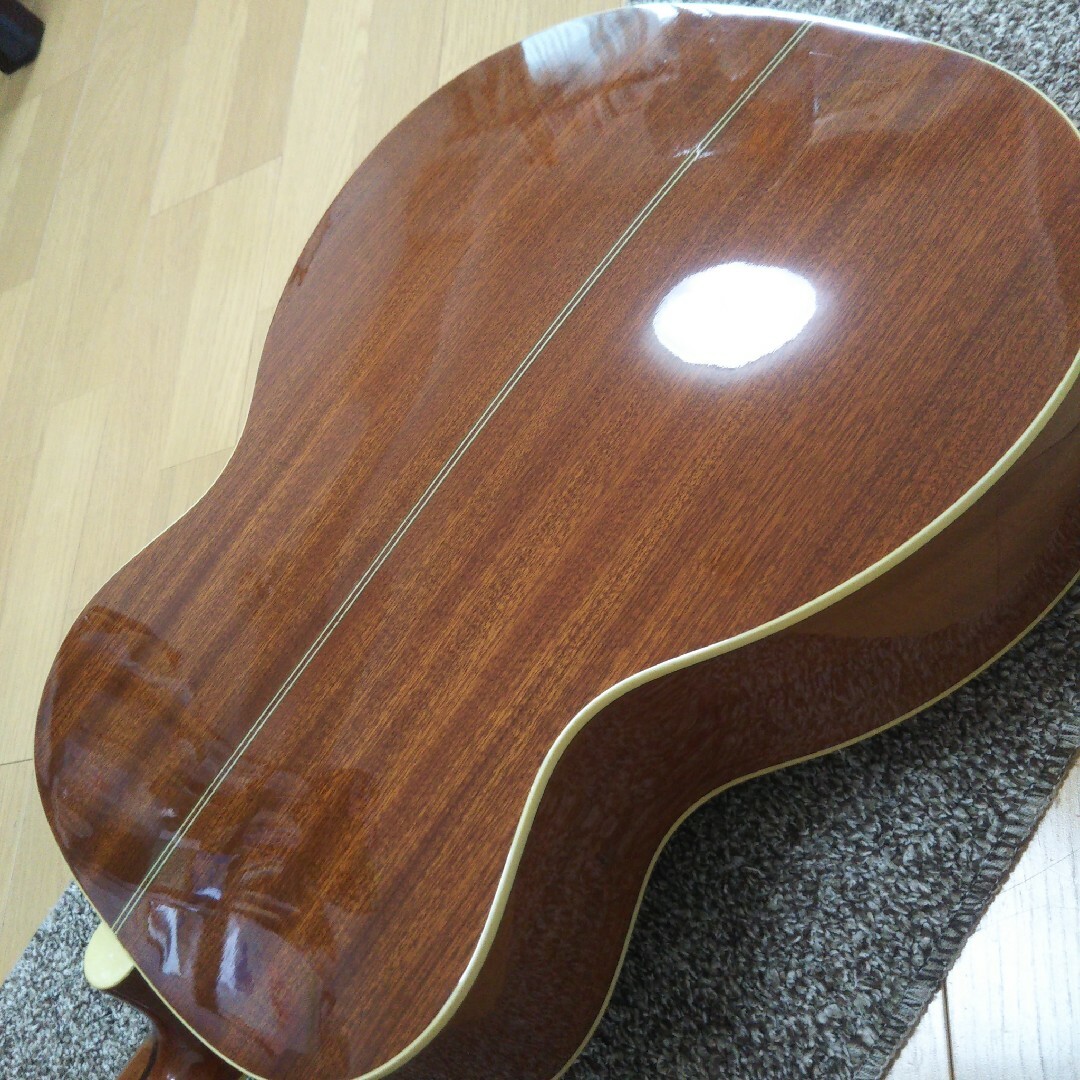 greg Bennett アコースティックギター ASOM