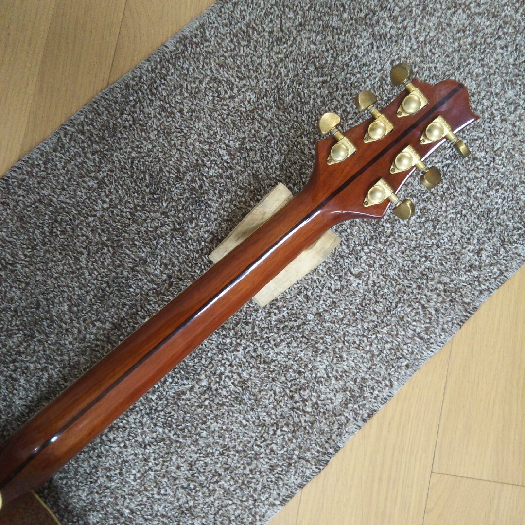 greg Bennett アコースティックギター ASOM