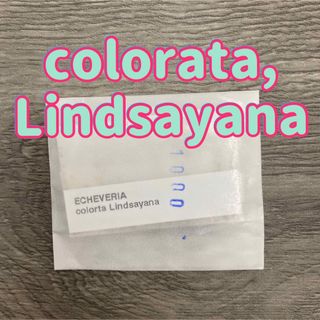 輸入種子＊colorata,Lindsayana＊50粒(その他)