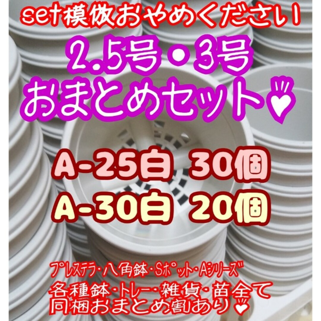 プラ鉢50個おまとめセット♪【A-25×30個・A-30×20個】プレステラ多肉 ハンドメイドのフラワー/ガーデン(プランター)の商品写真